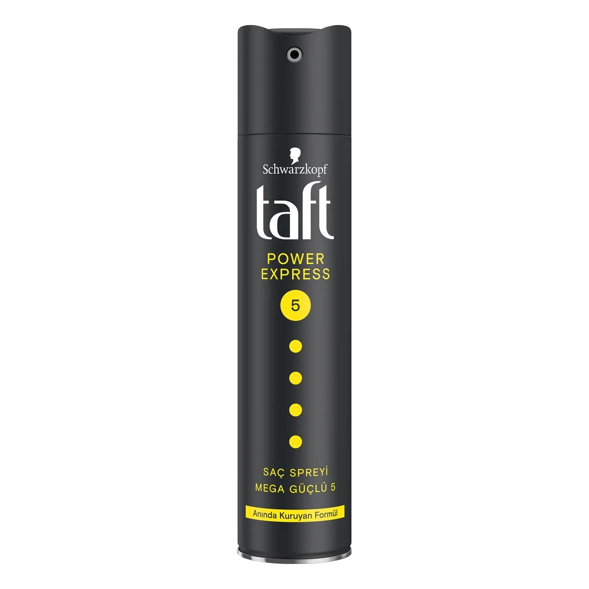 Taft Power Express Mega Güçlü Saç Spreyi No:5 250ml