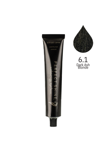Perfect Shine Permanent Profesyonel Saç Boyası 100ml -Yoğun Koyu Küllü Kumral (ASH - 6.1)