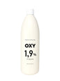 Perfect Shine 6 Volume Krem Oksidant 1000ml