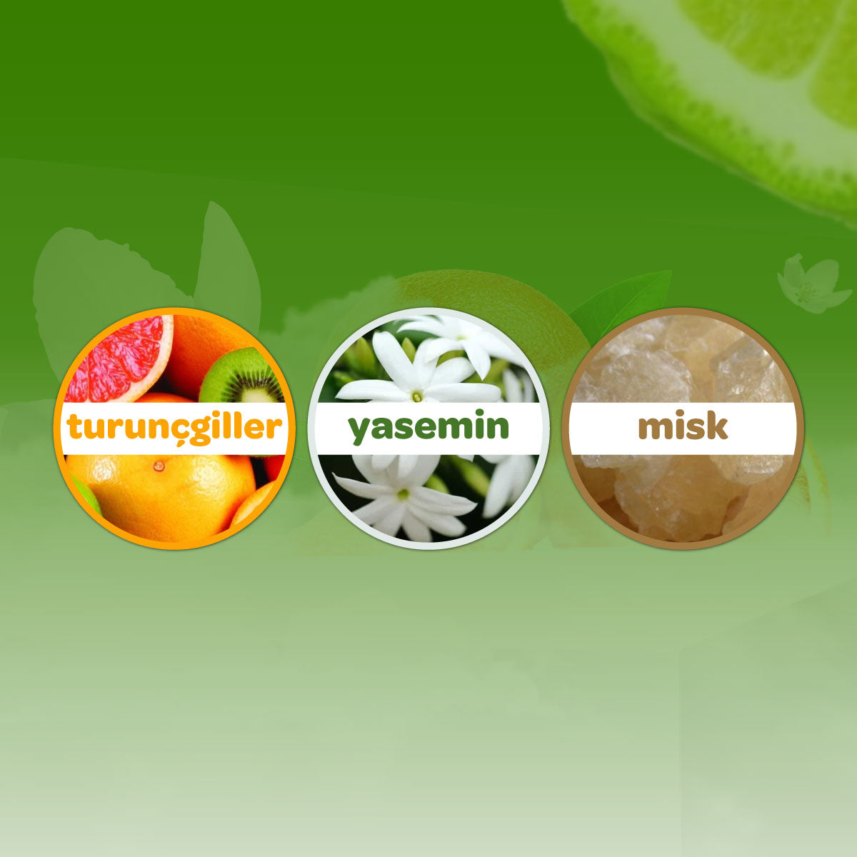 Dalin Orman Esintisi Bebek Kolonyası 150 ml
